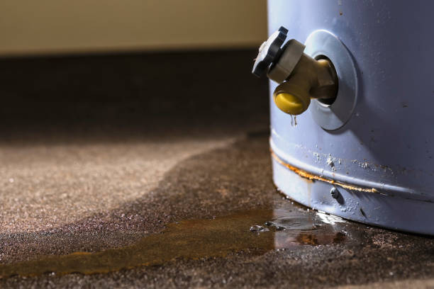 Best Commercial water damage restoration  in Belton, SC