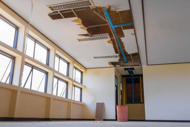 Best Water damage contractors near me  in Belton, SC