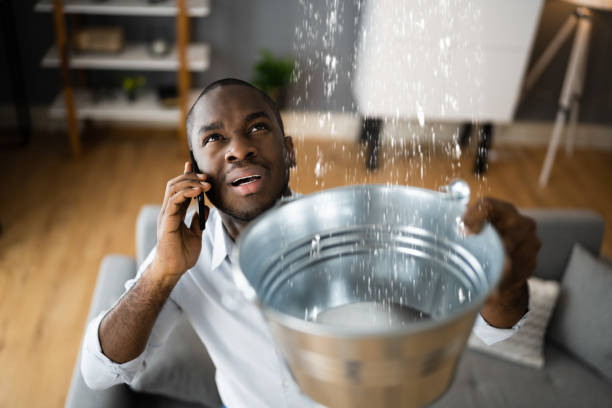 Best Flooded house restoration  in Belton, SC