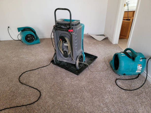 Best Water damage contractors near me  in Belton, SC