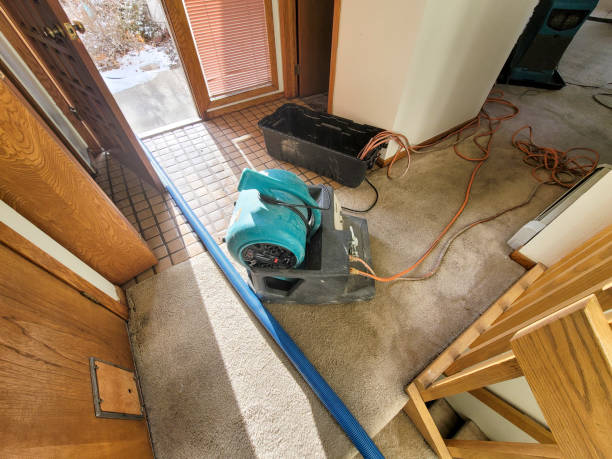 Best Water damage repair service  in Belton, SC