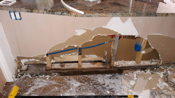 Best Water damage restoration near me  in Belton, SC