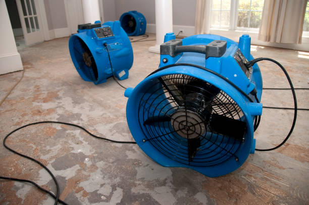  Belton, SC Water damage restoration Pros
