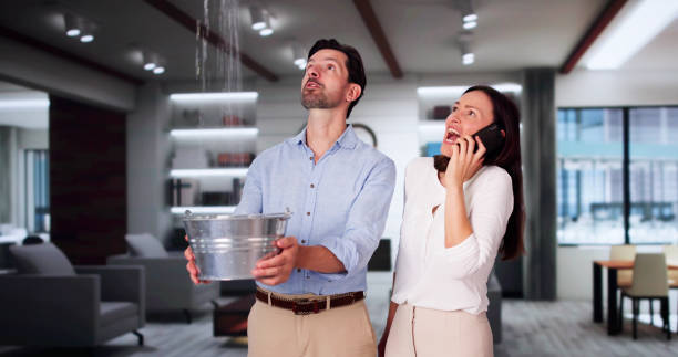 Best Ceiling water damage repair  in Belton, SC